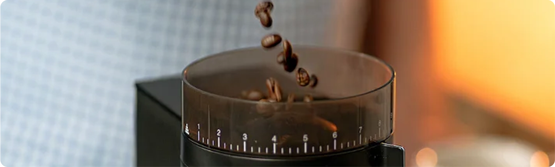 Zubereitung von Cold Brew in der French Press