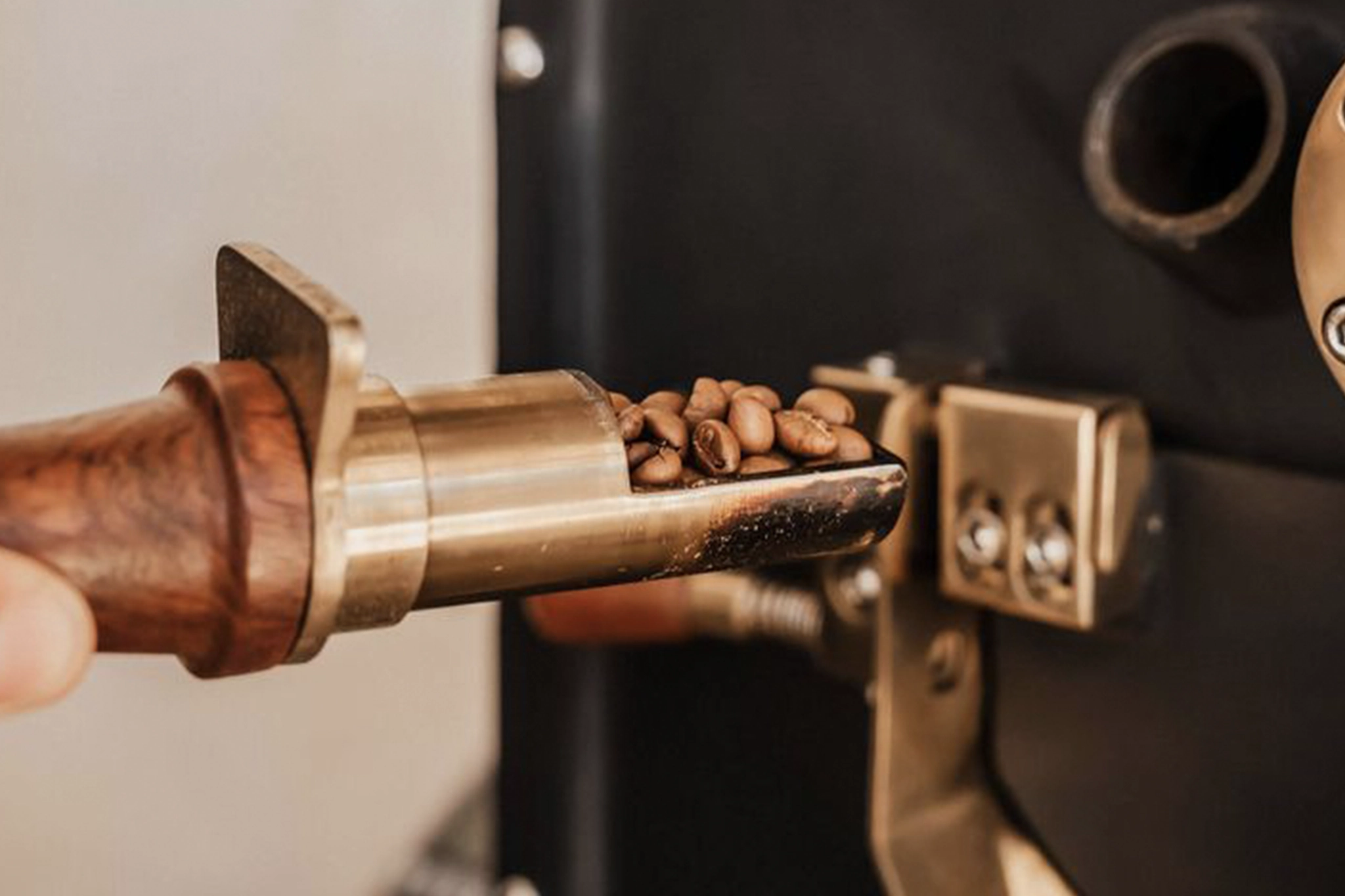 Nicaragua Maragogype Röstung