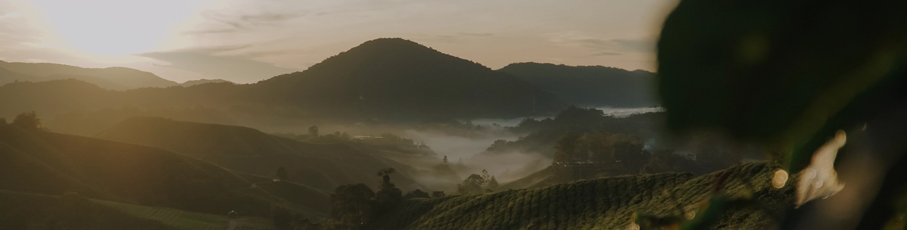 Ruanda Kaffeekultur Geschichte